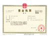 Chiny Chongqing Songyo Auto Parts Co., Ltd. Certyfikaty